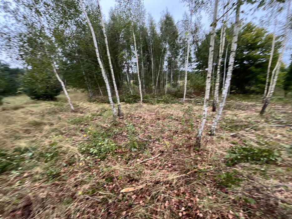 Działka 1451m2 ; cena 85 zł za metr działki nr: 41/6