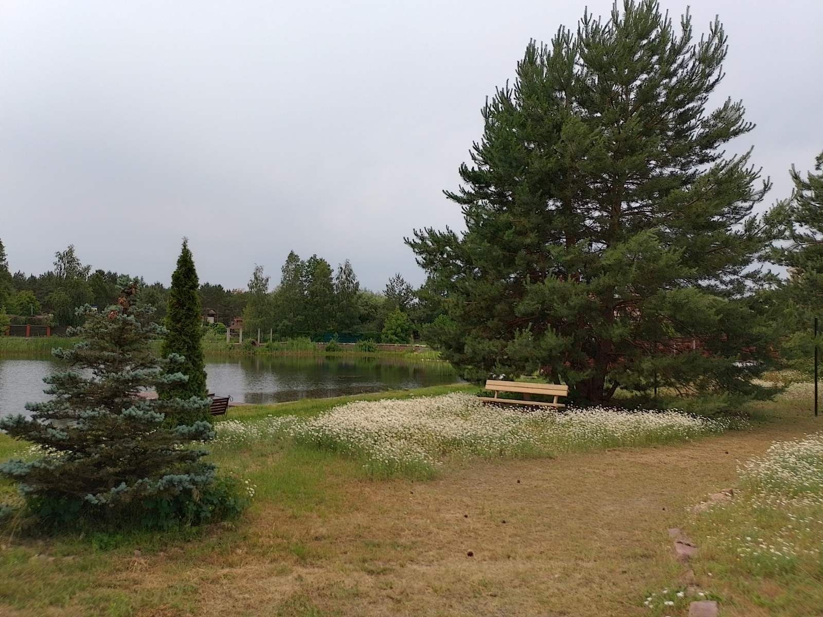 Продається земельна ділянка, с.Хотянівка, з виходом до водойми