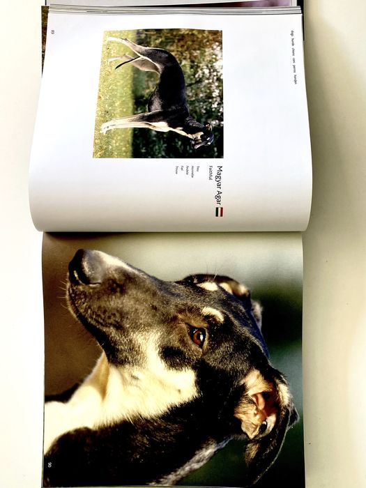 Dogs H-Z , Eukanuba, 2009