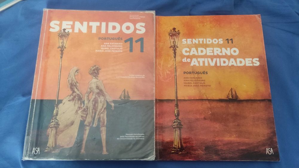 Manual+caderno atividade - Sentidos 11