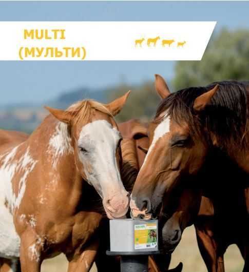 Сіль для тварин Мінеральний блок "Multi"  10 кг ТМ SALZ