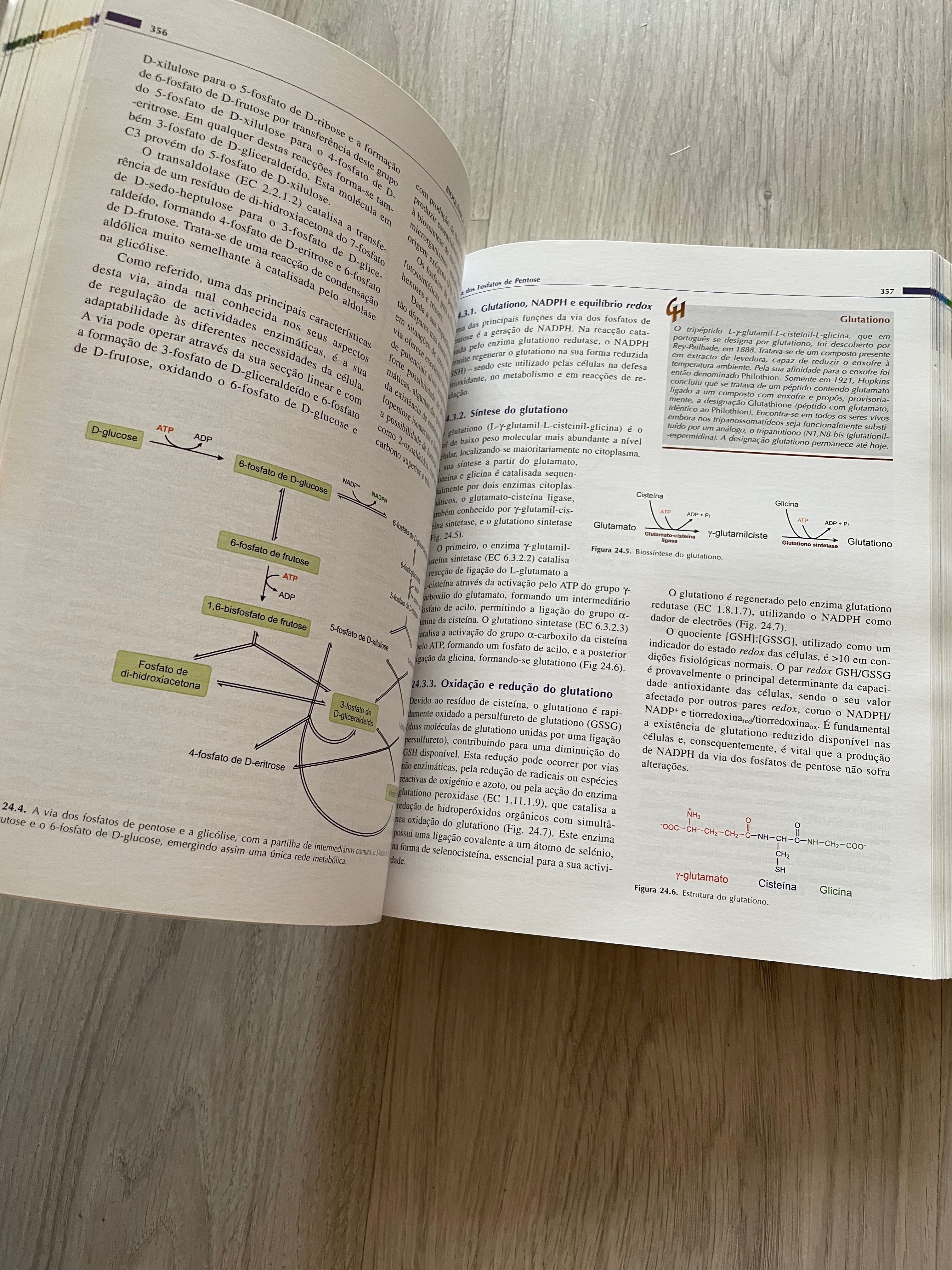 Manual de bioquímica