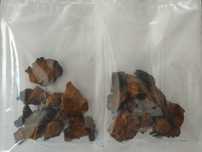Czaga (Błyskoporek podkorowy, Chaga) suszony– Dwa Opakowania 100g