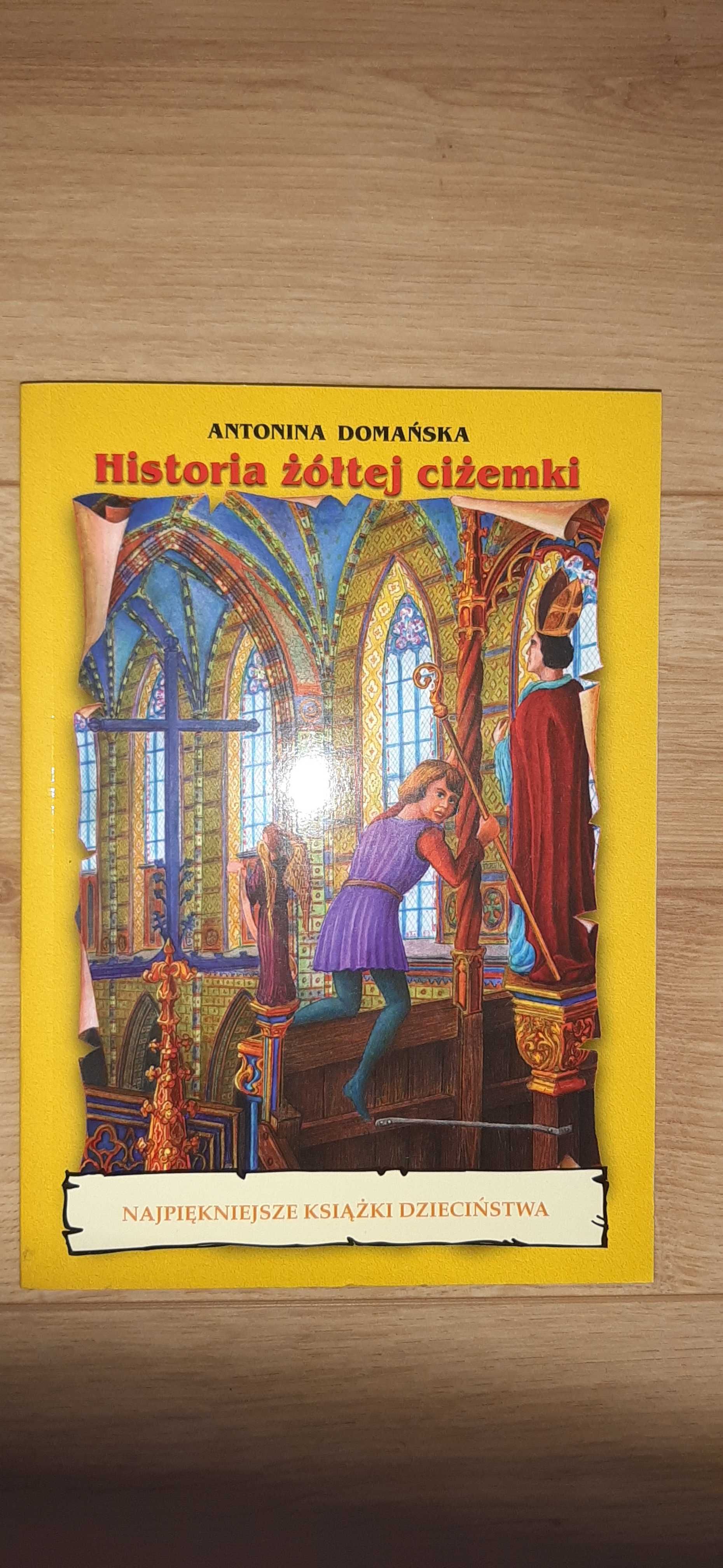 Książka Historia Żółtej Ciżemki - Antonina Domańska