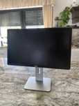Monitor Dell P2416D 24 cale