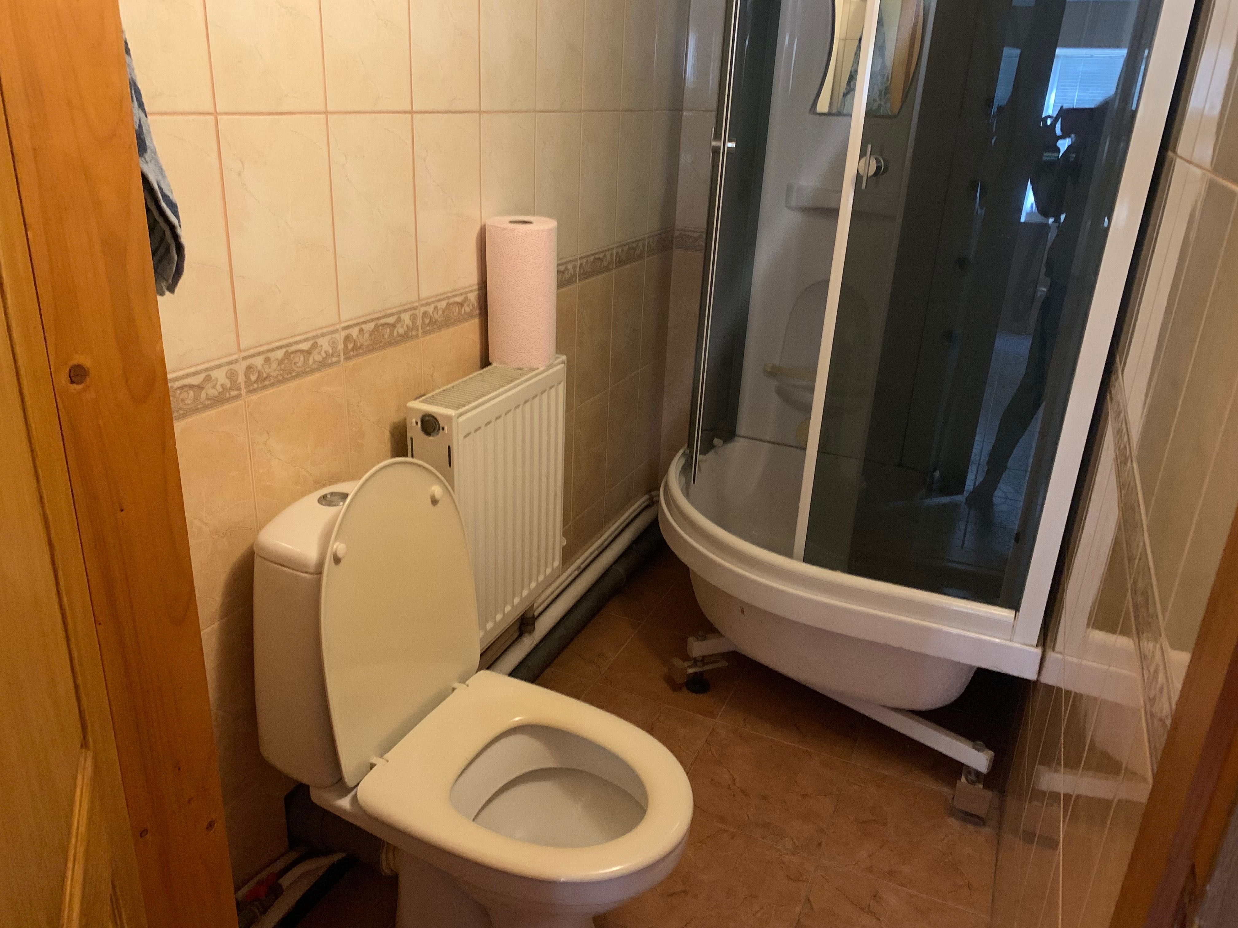 Продається будинок у Центрі міста з виходом до річки