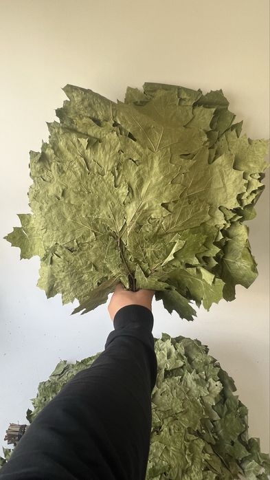 Witki do Sauny, Witkowanie w Saunie, Wenik Bania,