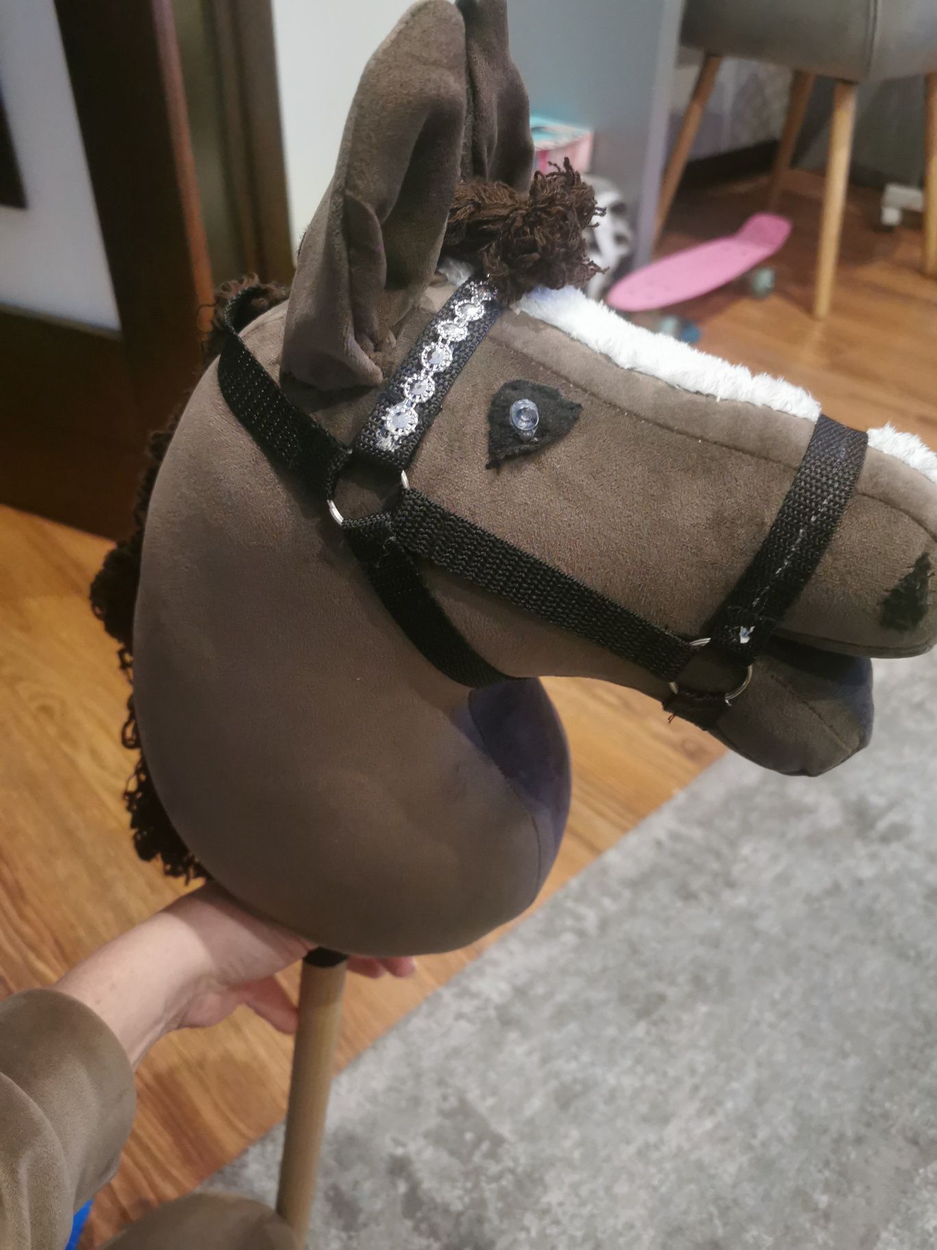 Konik Hobby Horse