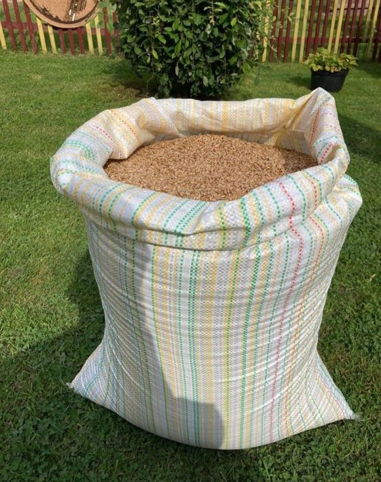 Pszenżyto ekologiczne