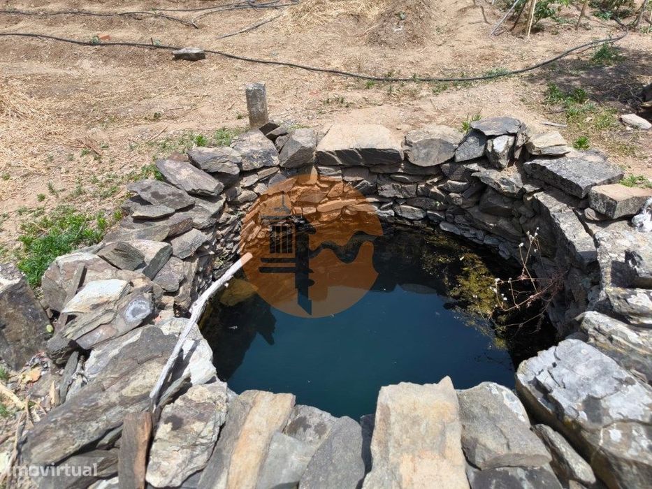 Terreno Com 9.550 M2 - Com Poço - Na Carrapateira Em Tavira - Algarve