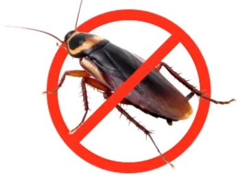 Дезенфекція і дезенсекція від комах і шкідників.