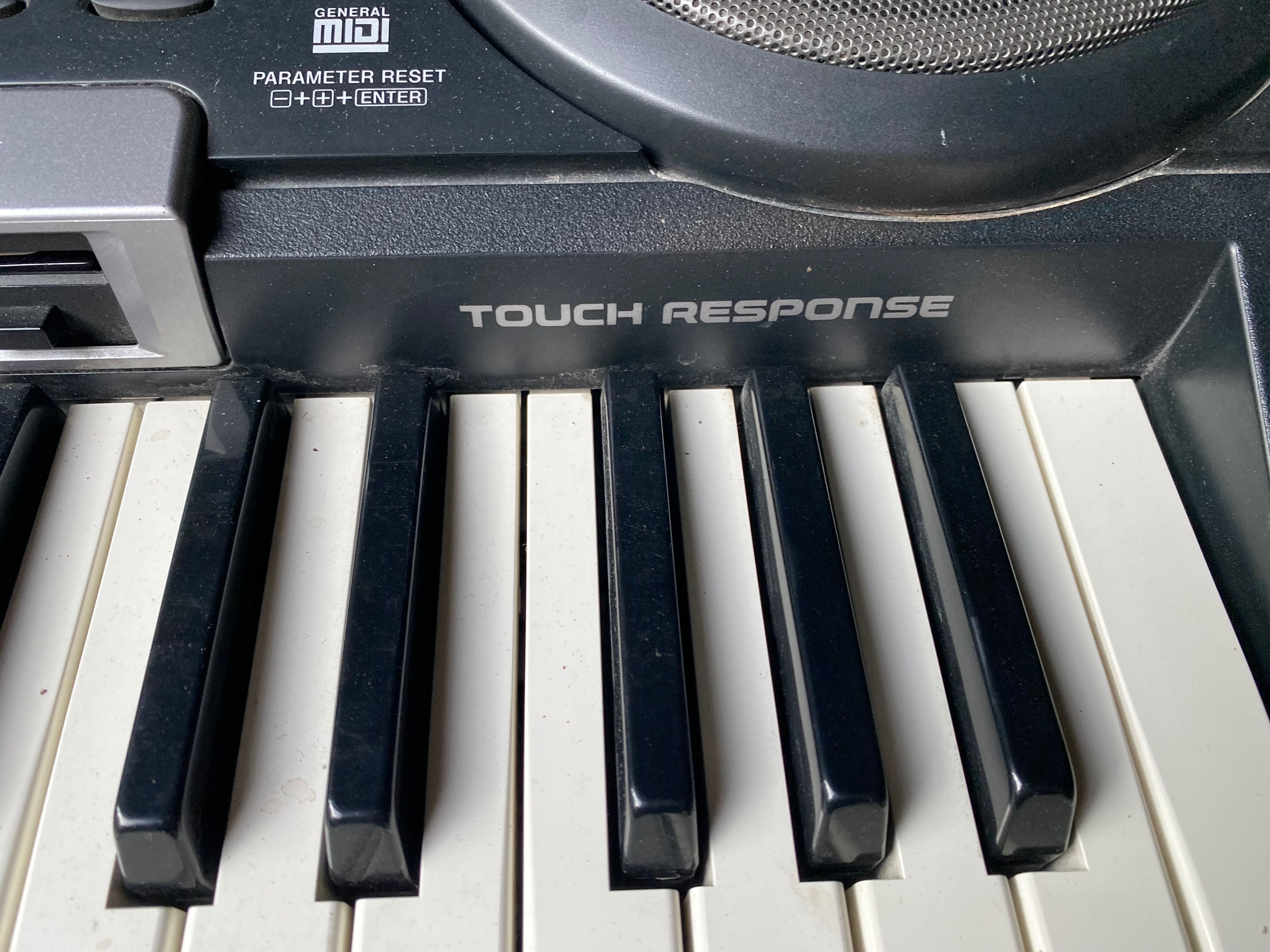Teclado Casio CTK-731