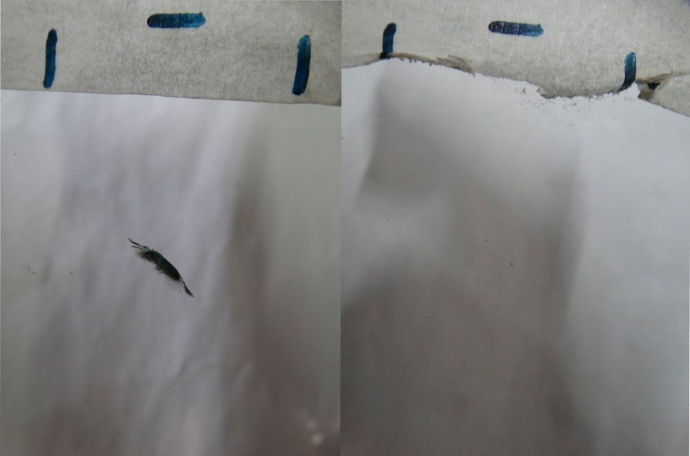 ремонт лобового скла /стекла/тріщин/трещин/сколів/сколов м. Славута