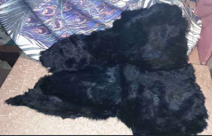 Хутро кролика та шматок натуральної шкіри норка писец цыгейка дешево