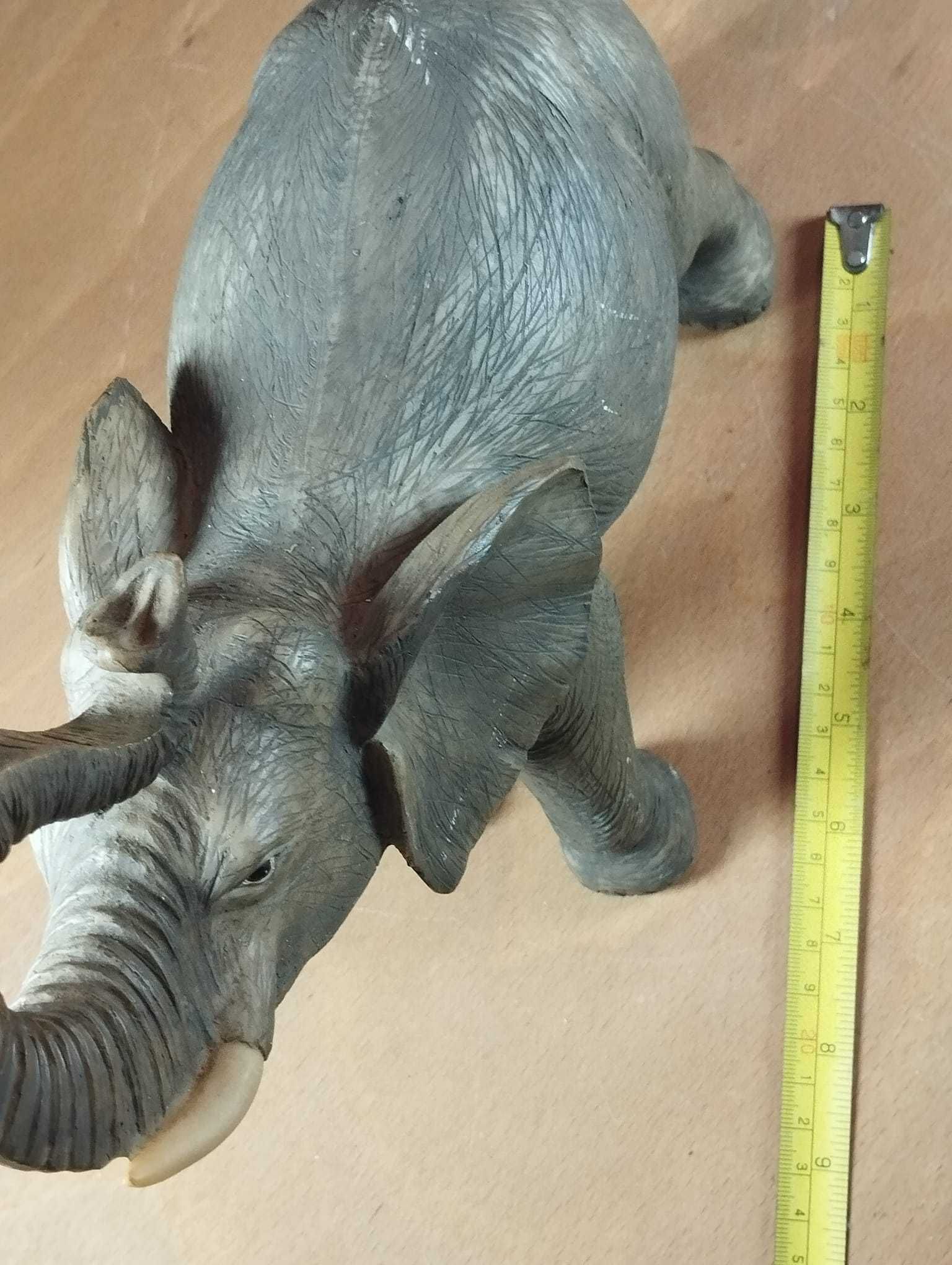 Elefante com Grande Detalhe