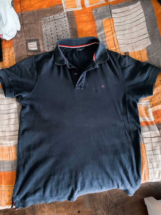 Polo Lion of Porches