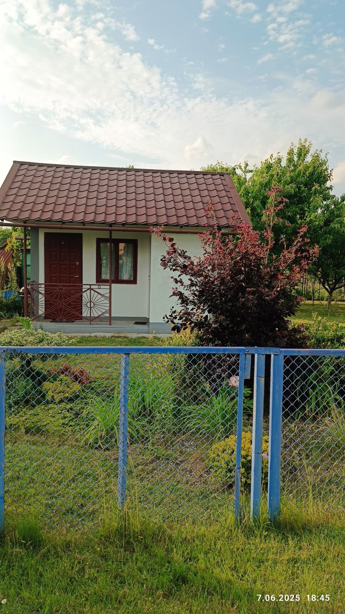Działka  rekreacyjna stokrotka Dębica