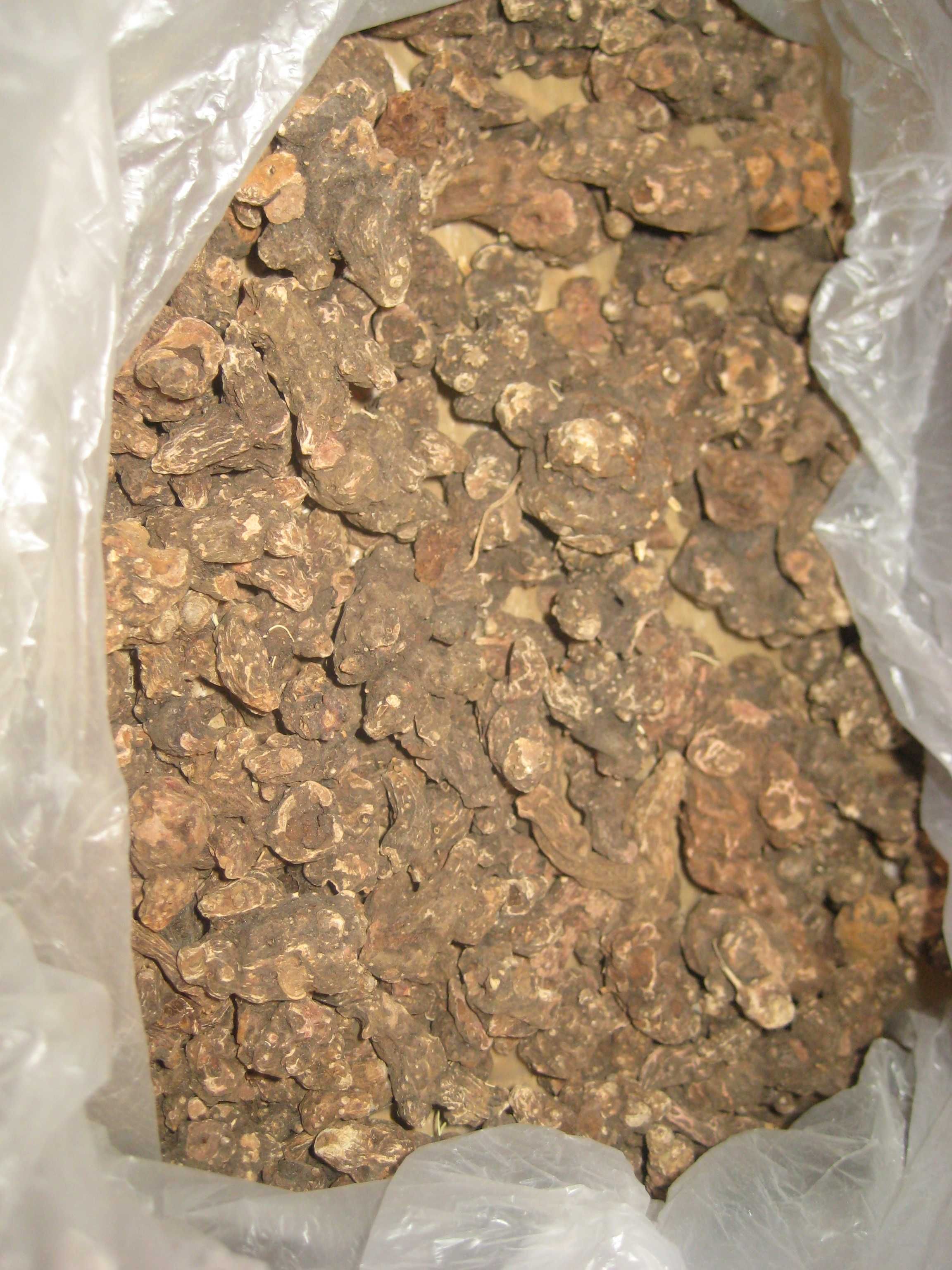 Продам корень калгана (сухой) лучшего качество.