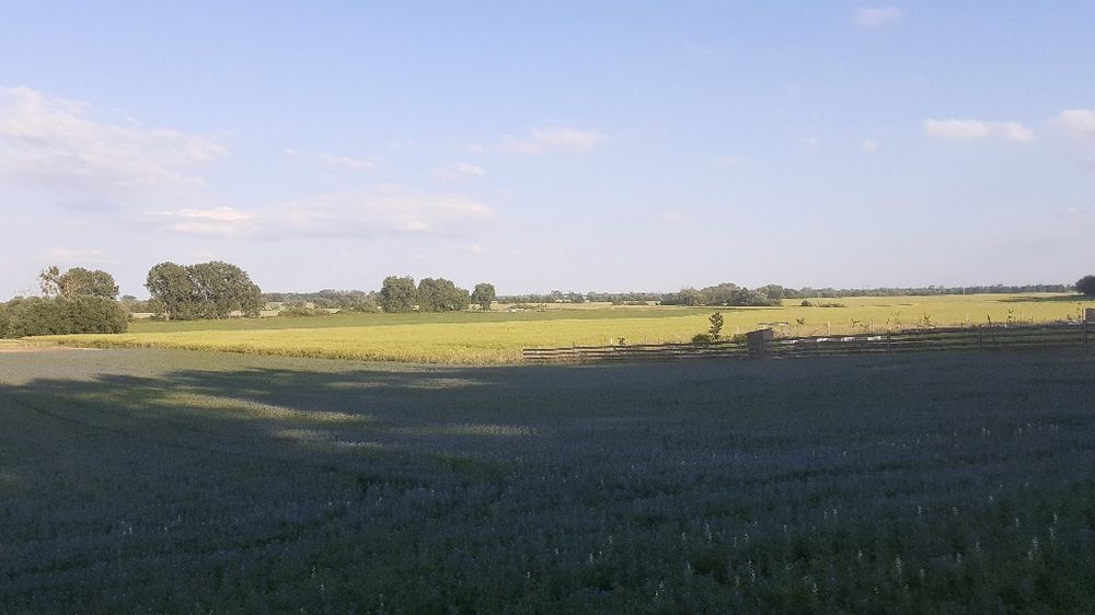 Sprzedam działki Mieściska, gmina Duszniki