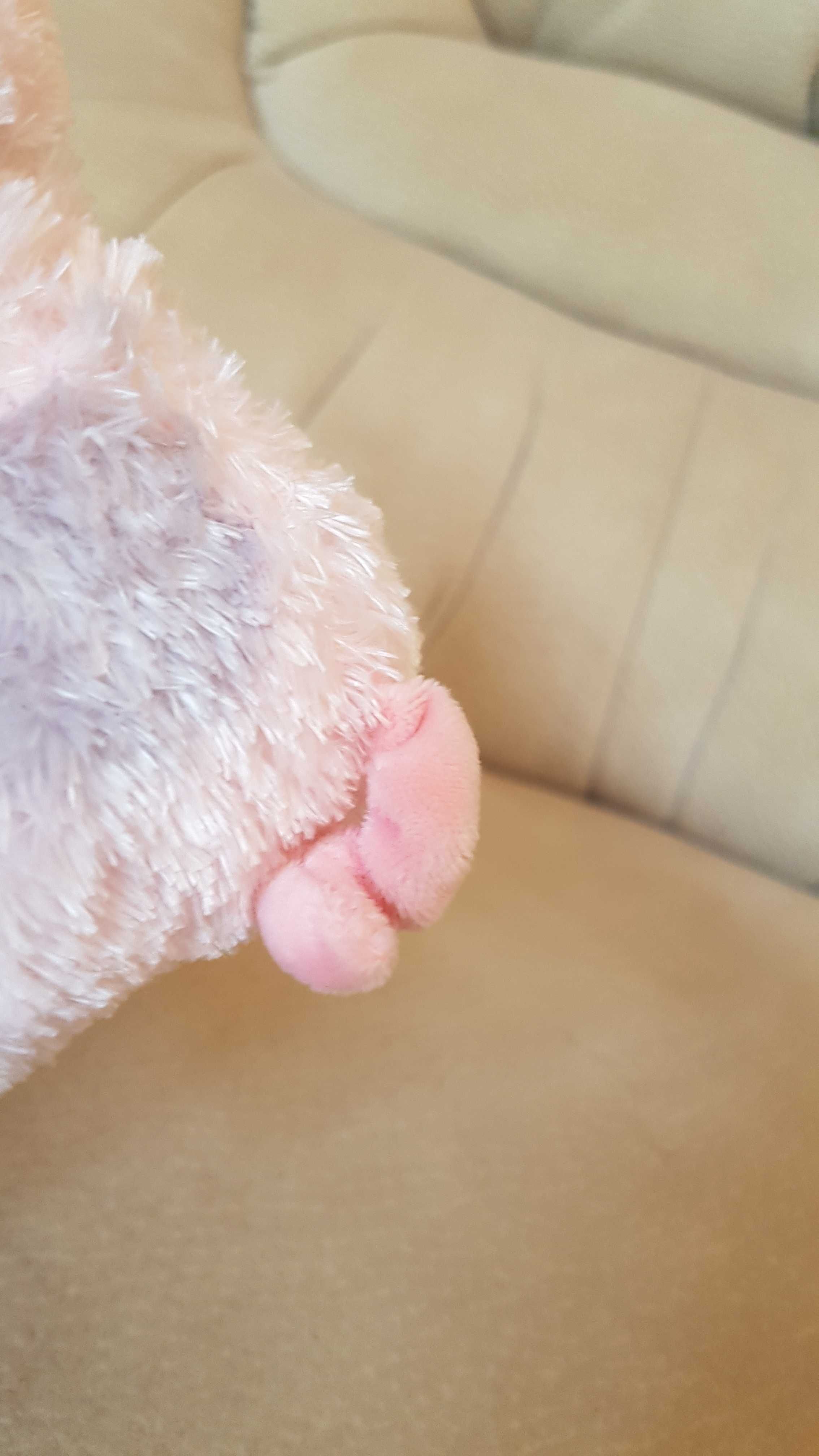 TY Beanie Boos глазастик свинка, поросенок, хрюшка HAMBONE 15 см