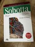 Atlas anatomii człowieka Sobotta Narządy wewnętrzne mianownictwo ang