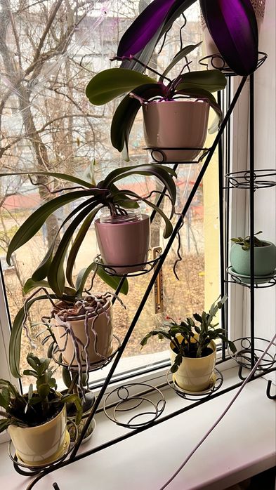 підставка кована для квітів