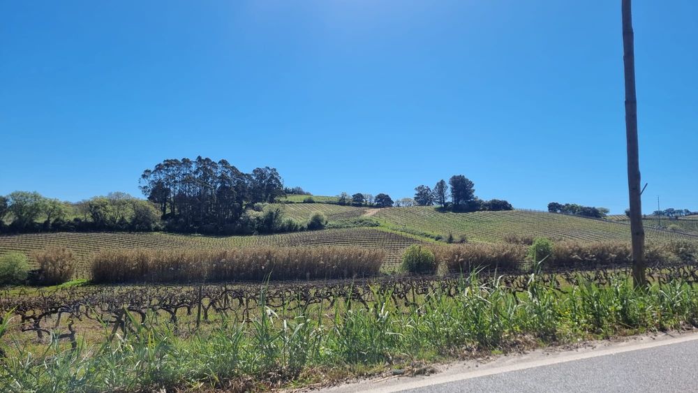 Casa casais maçaricos- Alenquer