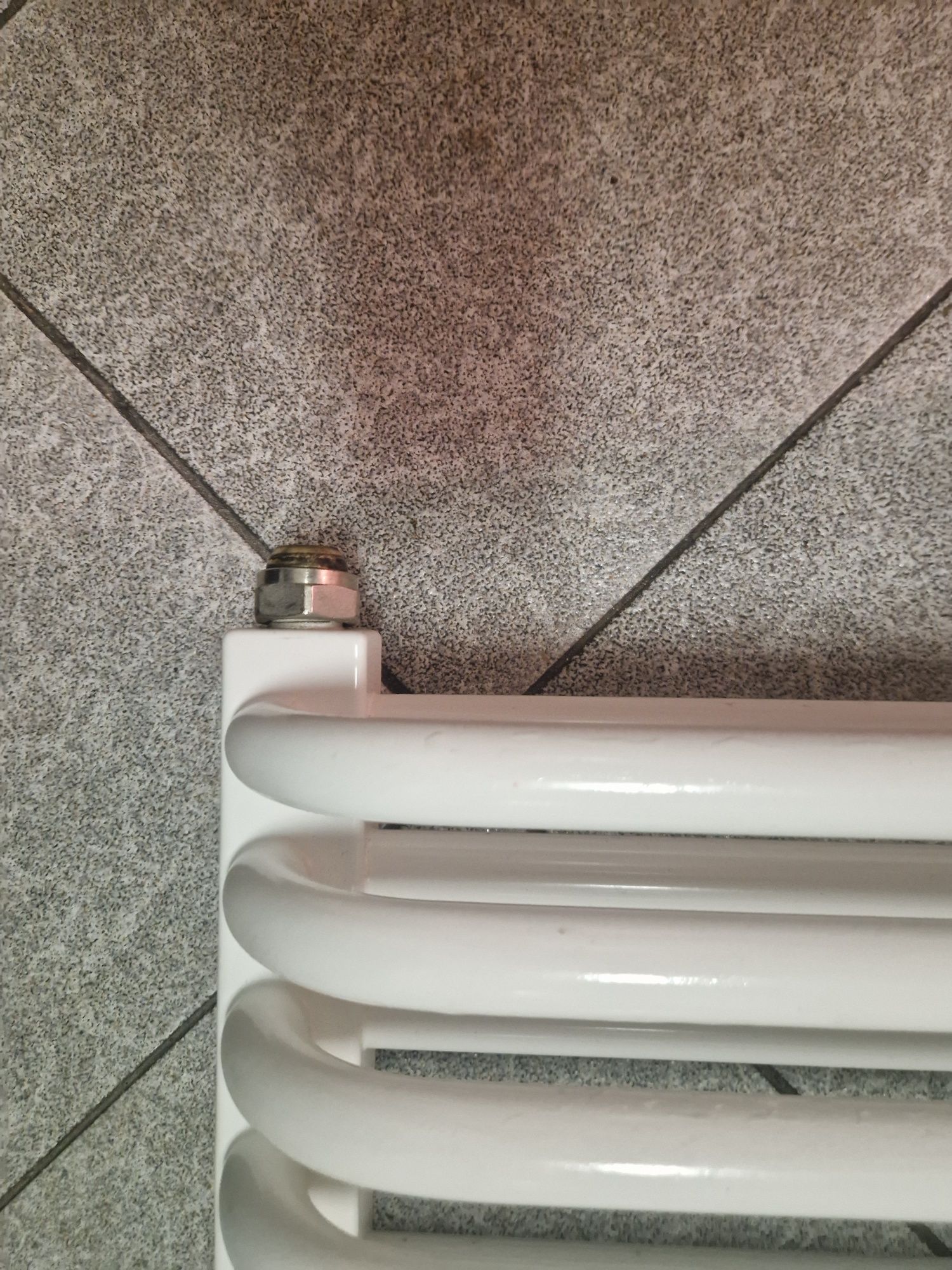 Grzejnik łazienkowy Terma Tytus 1260x540