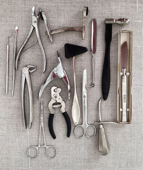 Zestaw narzędzi używany w weterynarii i chirurgii