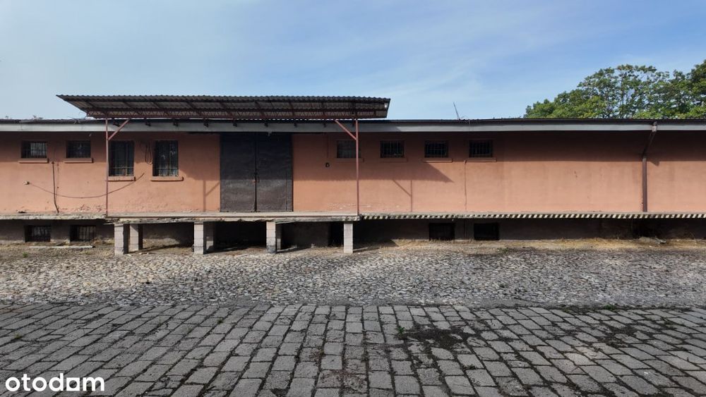 Hala magazynowa z placem