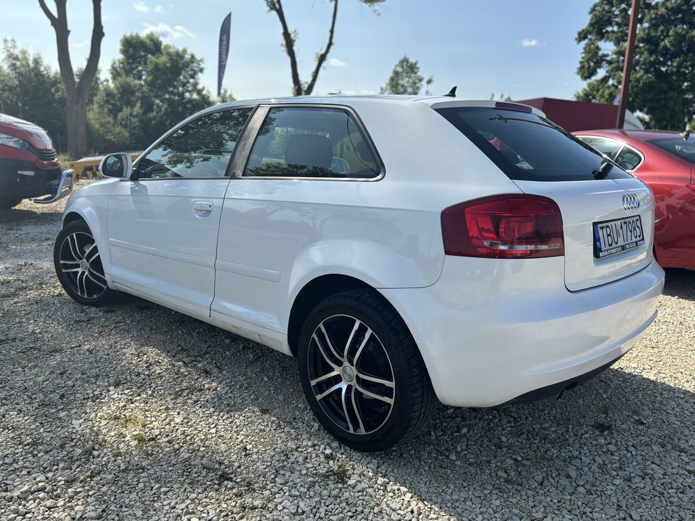 Audi A3 8P 1.6 MPI | 2009 | Bogate wyposazenie | Stan bardzo dobry