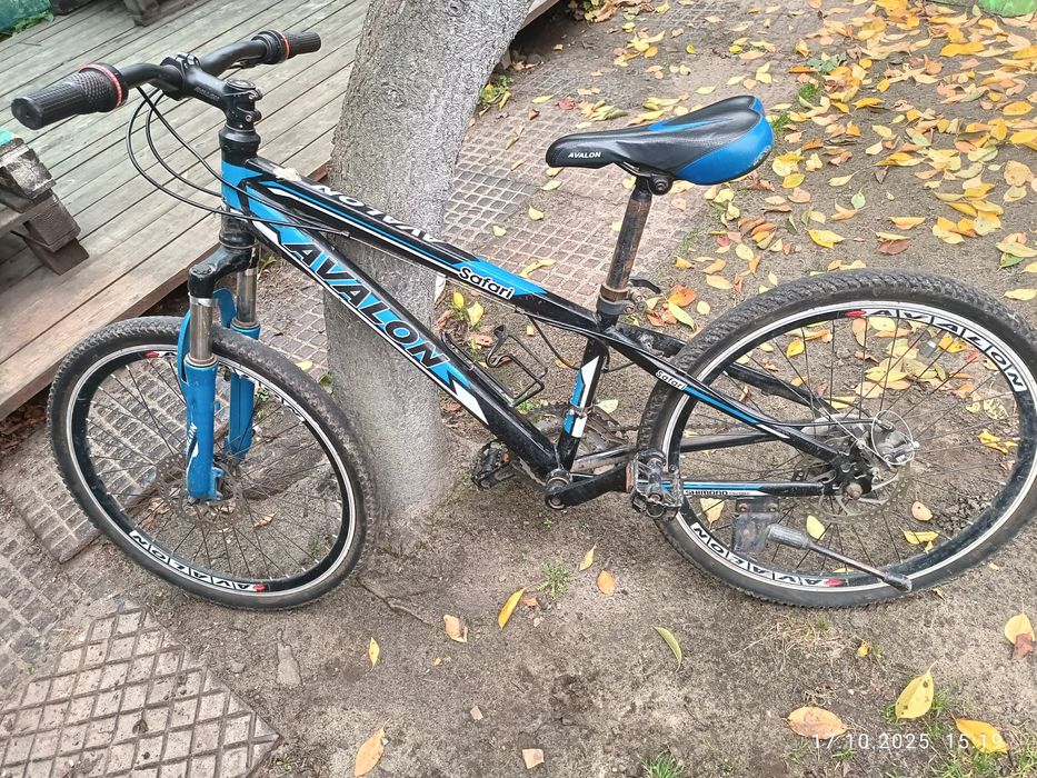 Велосипед спортивний Avalon Safari 24