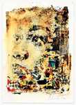 Impression (2022) - by Alexandre Farto aka Vhils