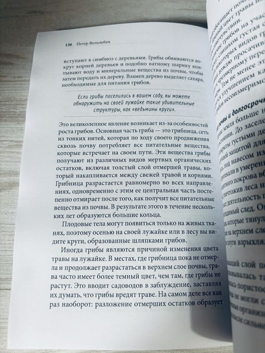 "Тайные знаки природы" Петер Вольлебен