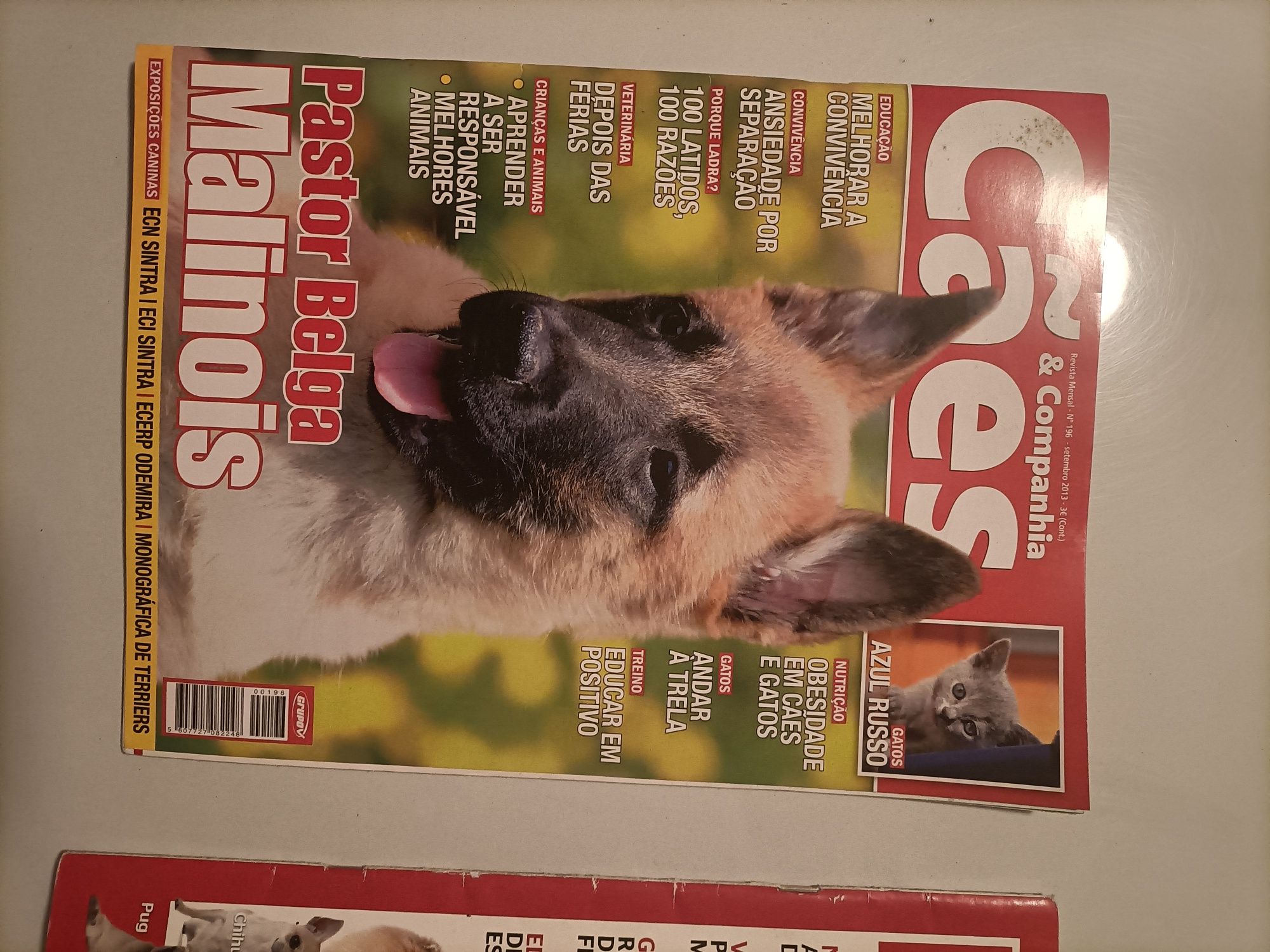 Revistas Cães e companhia
