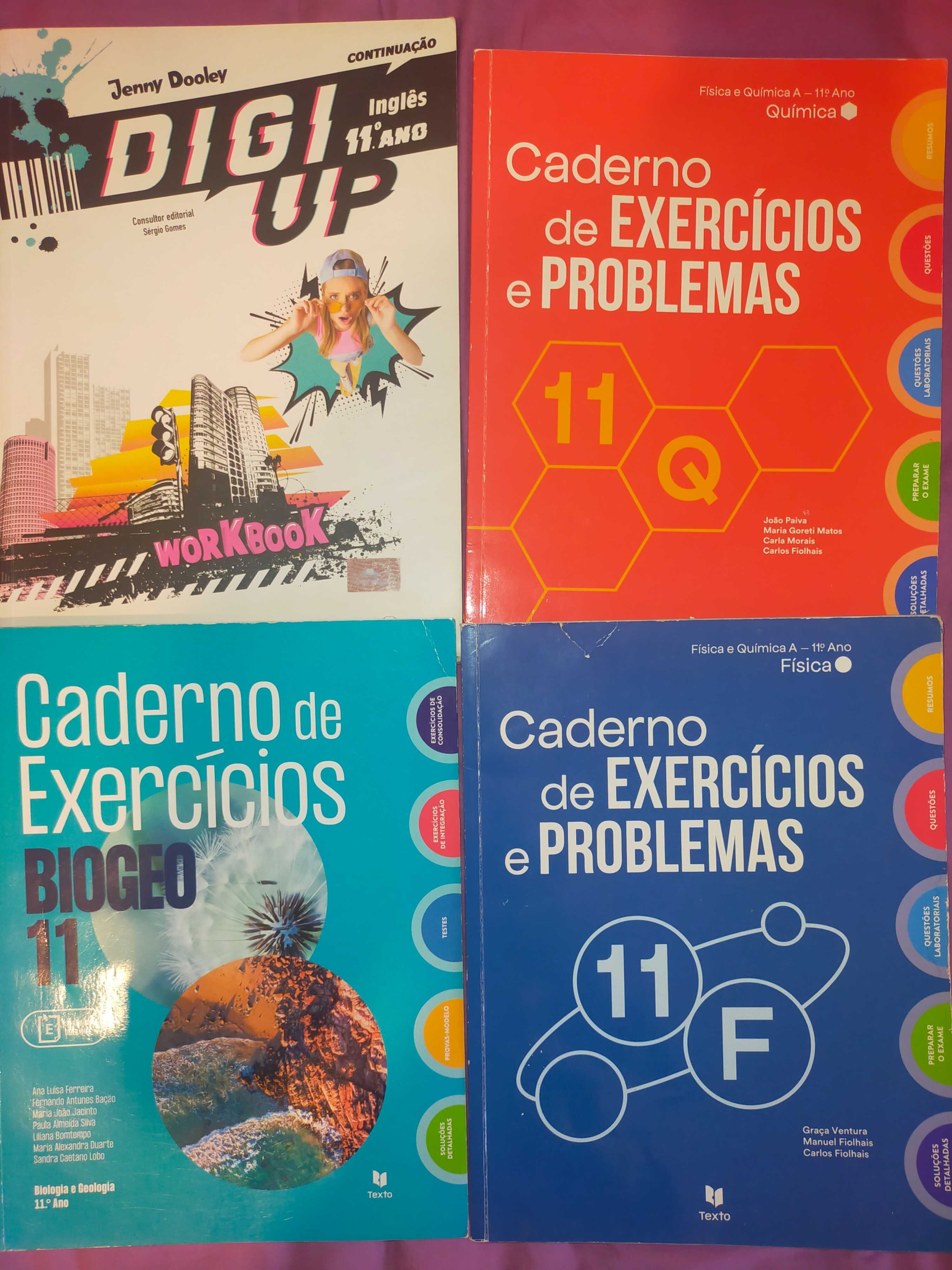 Livros exercícios 11° ano