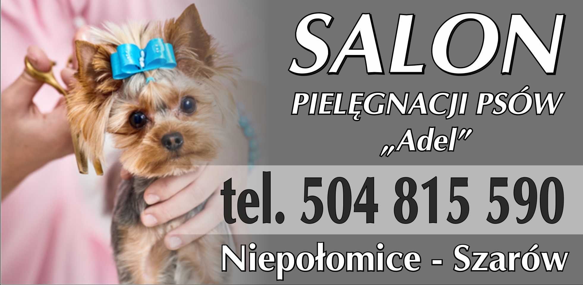 Strzyżenie psów, Psi fryzjer - salon pielegnacji psów "Adel"