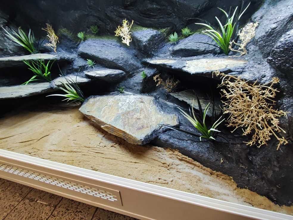 Terrarium dla agamy brodatej 120x60x60 Petmarket