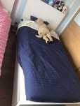 Cama de criança com gavetas e completa