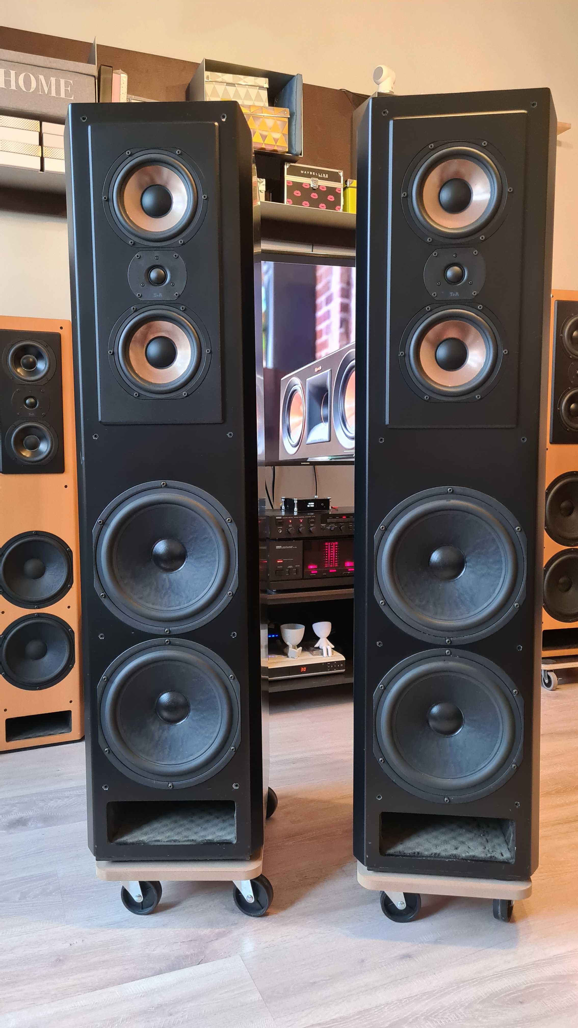 Czarny Koń - Kolumny podłogowe T+A Criterion TAL 160 – Top HI-FI Audio