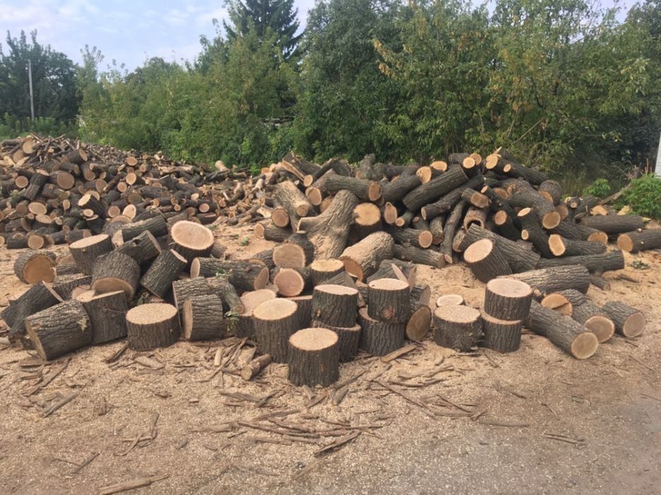 Дрова дуб,акация