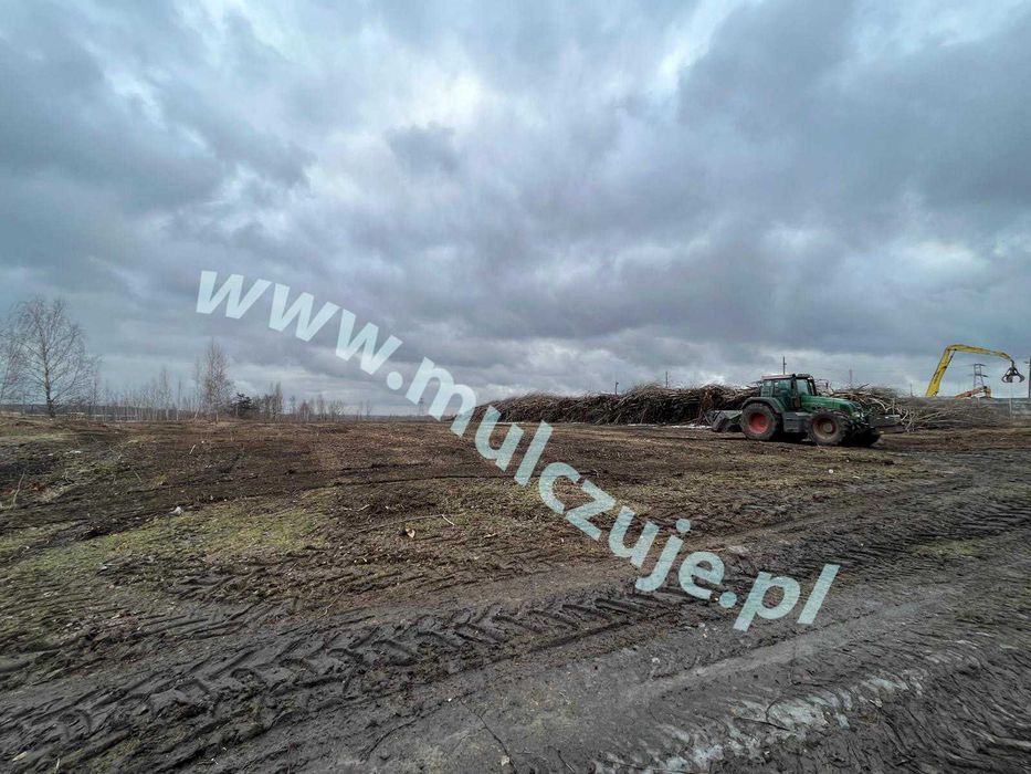 Wycinka drzew Karczowanie rekultywacja działek Mulczowanie Mulczer