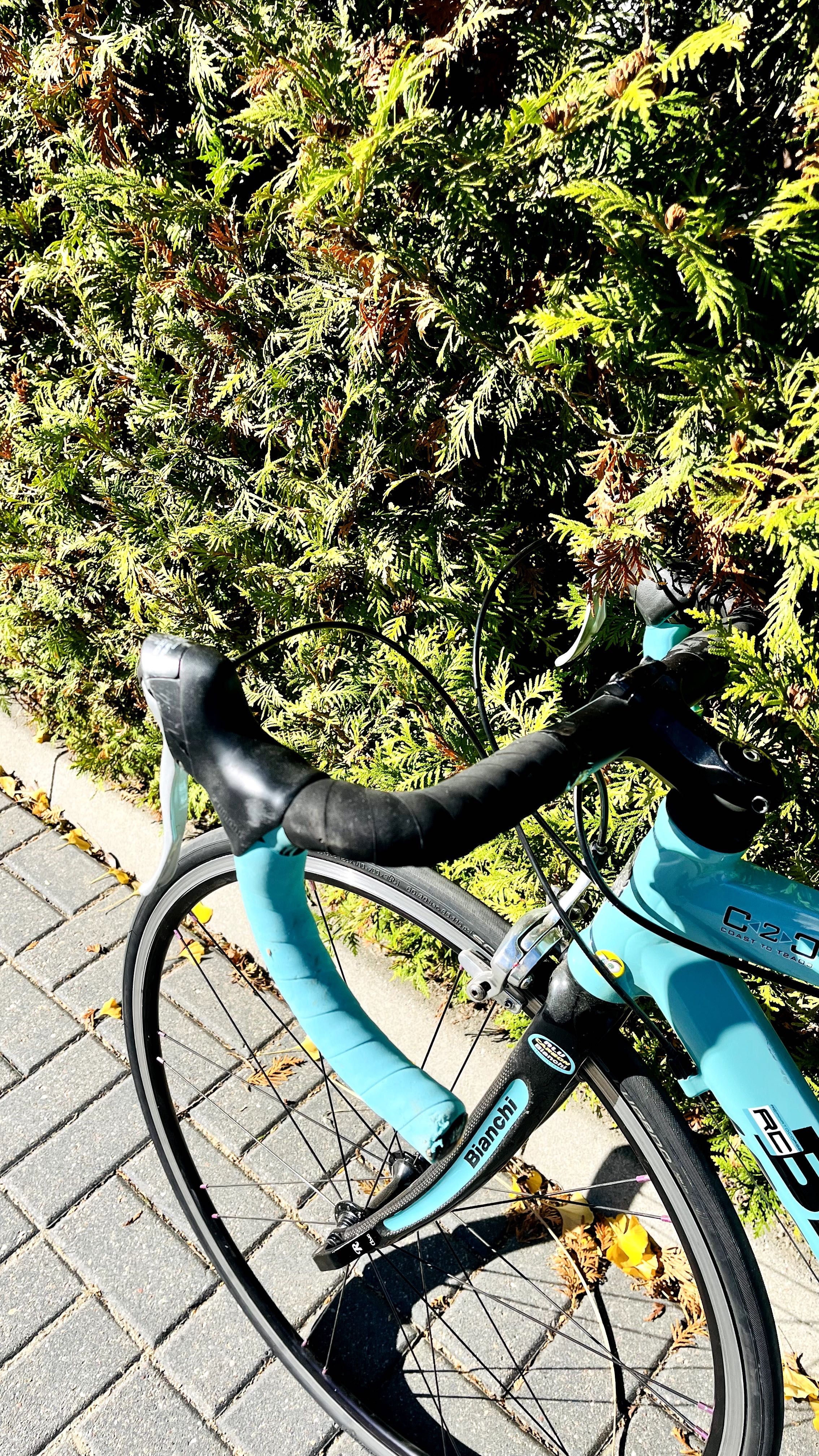 Bianchi rower szosowy. Rozm. 52