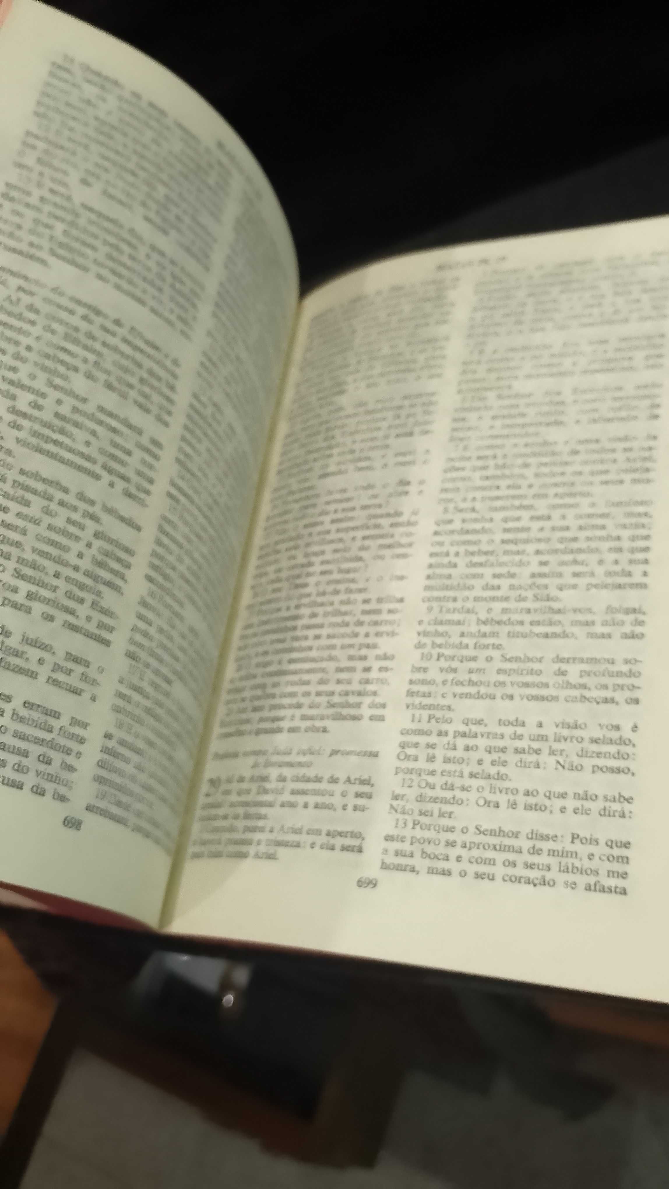 Bíblia Sagrada Velho e novo Testamento