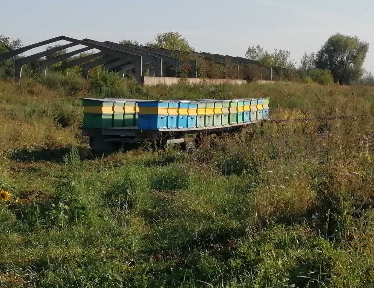 Причіп для перевезення бджіл