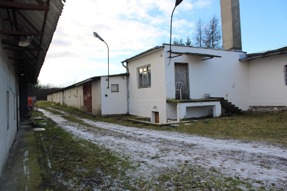 Wynajmę halę w Malborku, pod działalność, 450m2