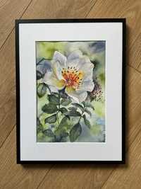 Akwarela „Dzika róża” format 30/21 cm obraz kwiaty prezent