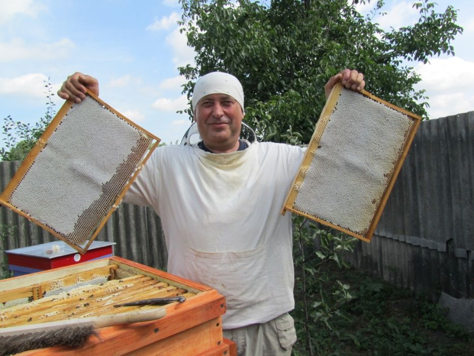 Бджолопакети, Пчелопакеты 3+1, 4+0