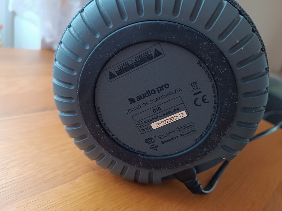 Głośnik Audio Pro G10