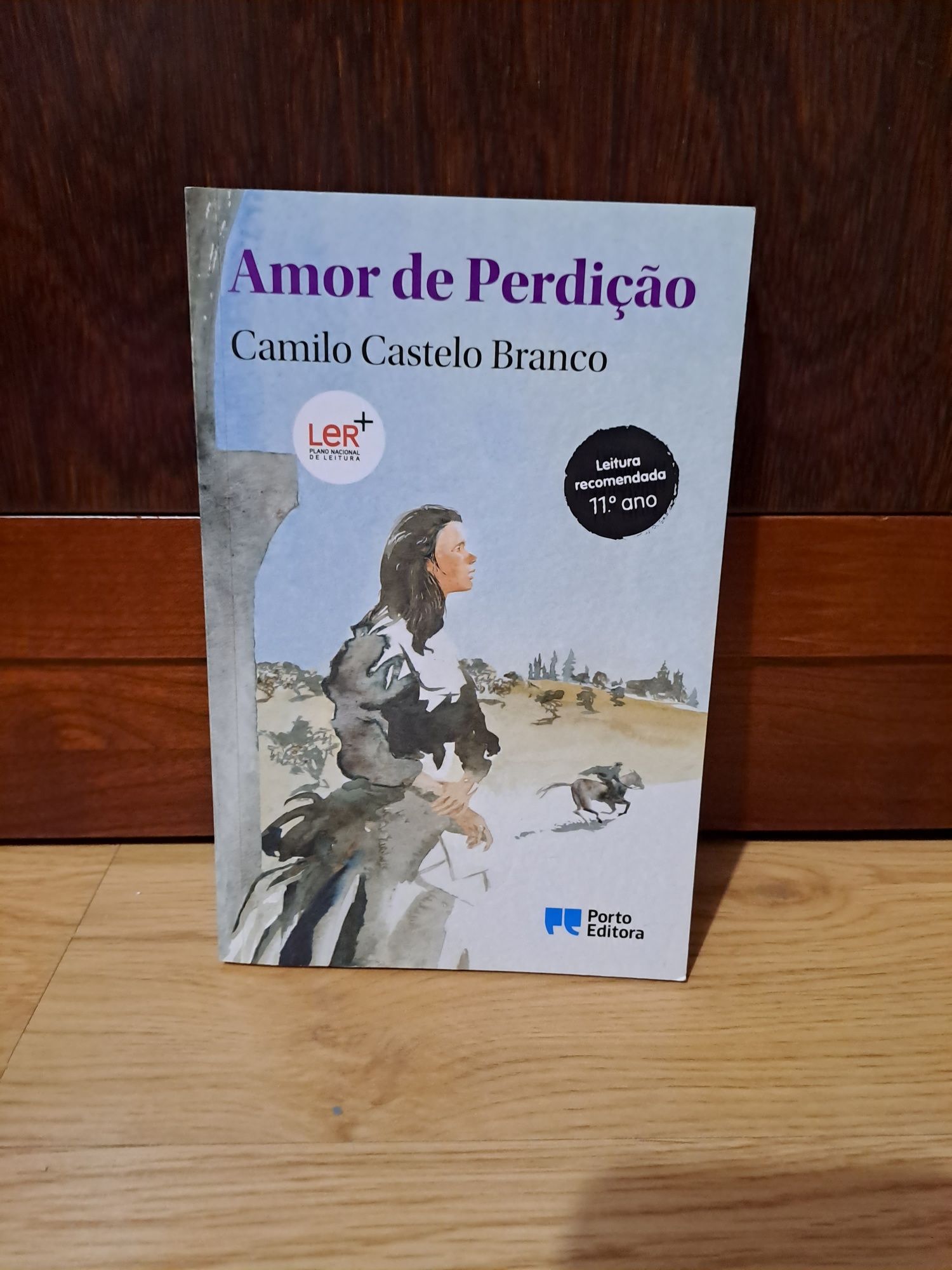 Amor de perdição Camilo Castelo Branco